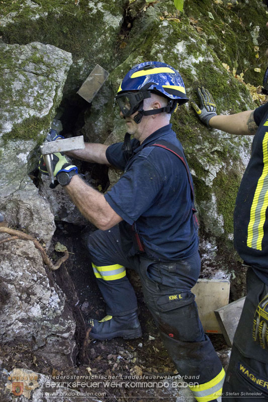 20240907_Spotty nach über 50 Stunden durch Feuerwehr aus Felshöhle in Baden gerettet Foto: Stefan Schneider BFKDO BADEN