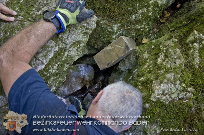 20240907_Spotty nach über 50 Stunden durch Feuerwehr aus Felshöhle in Baden gerettet Foto: Stefan Schneider BFKDO BADEN