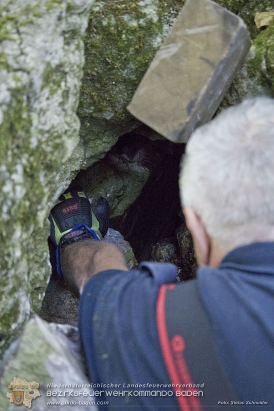 20240907_Spotty nach über 50 Stunden durch Feuerwehr aus Felshöhle in Baden gerettet Foto: Stefan Schneider BFKDO BADEN