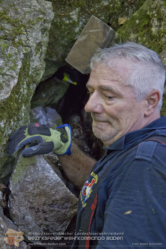 20240907_Spotty nach über 50 Stunden durch Feuerwehr aus Felshöhle in Baden gerettet Foto: Stefan Schneider BFKDO BADEN