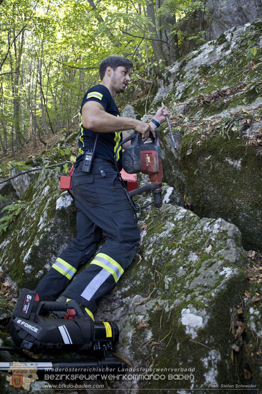 20240907_Spotty nach über 50 Stunden durch Feuerwehr aus Felshöhle in Baden gerettet Foto: Stefan Schneider BFKDO BADEN