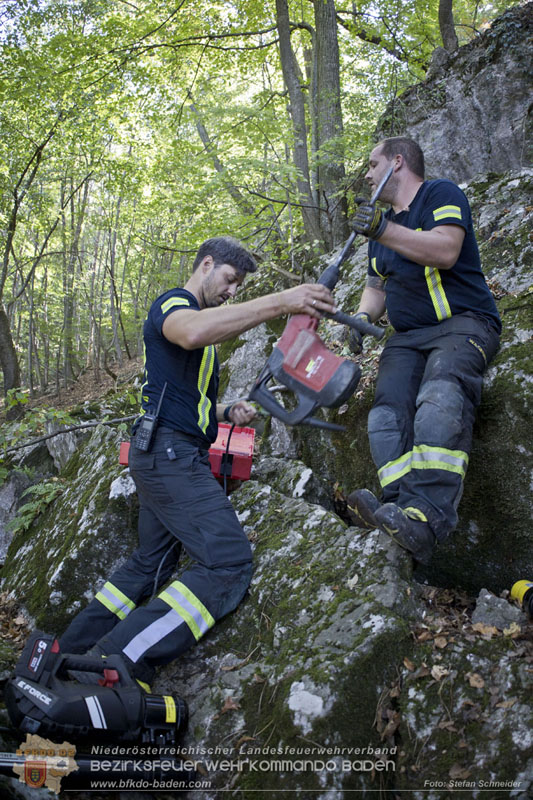 20240907_Spotty nach über 50 Stunden durch Feuerwehr aus Felshöhle in Baden gerettet Foto: Stefan Schneider BFKDO BADEN
