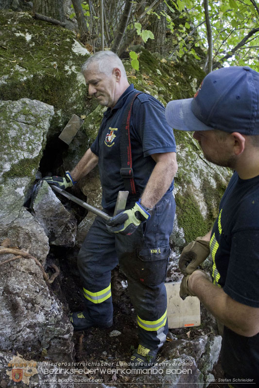 20240907_Spotty nach über 50 Stunden durch Feuerwehr aus Felshöhle in Baden gerettet Foto: Stefan Schneider BFKDO BADEN