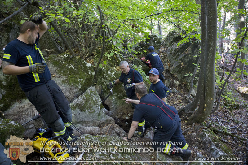 20240907_Spotty nach über 50 Stunden durch Feuerwehr aus Felshöhle in Baden gerettet Foto: Stefan Schneider BFKDO BADEN