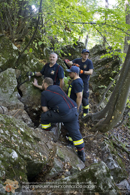 20240907_Spotty nach über 50 Stunden durch Feuerwehr aus Felshöhle in Baden gerettet Foto: Stefan Schneider BFKDO BADEN