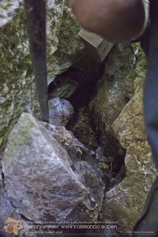 20240907_Spotty nach über 50 Stunden durch Feuerwehr aus Felshöhle in Baden gerettet Foto: Stefan Schneider BFKDO BADEN