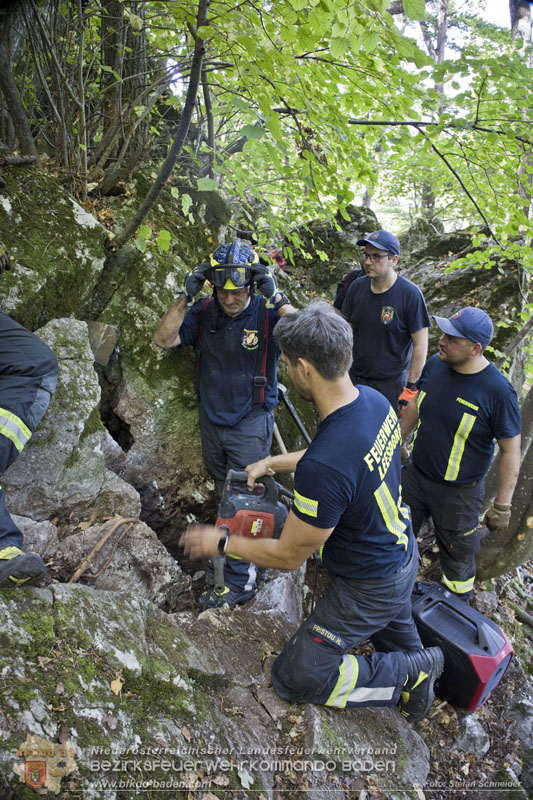 20240907_Spotty nach über 50 Stunden durch Feuerwehr aus Felshöhle in Baden gerettet Foto: Stefan Schneider BFKDO BADEN