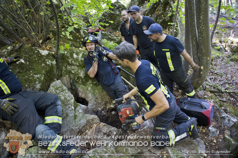 20240907_Spotty nach über 50 Stunden durch Feuerwehr aus Felshöhle in Baden gerettet Foto: Stefan Schneider BFKDO BADEN