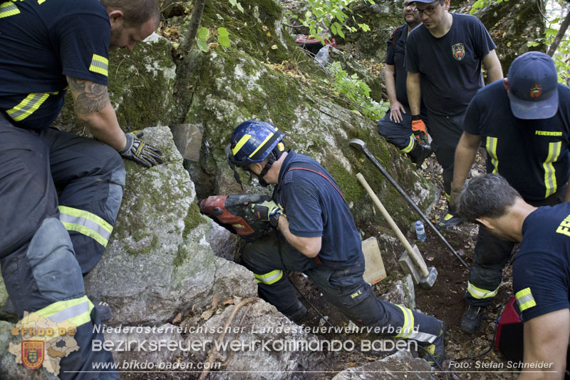 20240907_Spotty nach über 50 Stunden durch Feuerwehr aus Felshöhle in Baden gerettet Foto: Stefan Schneider BFKDO BADEN