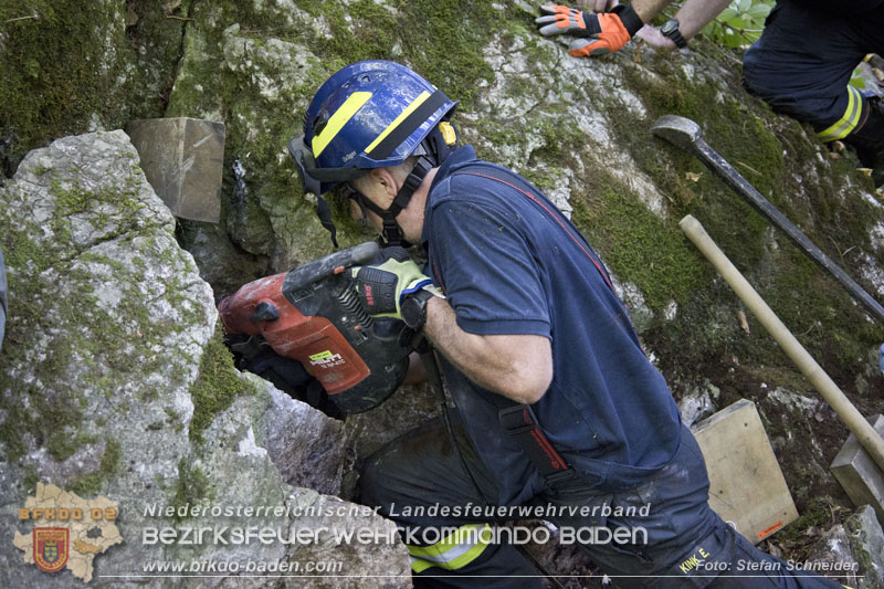 20240907_Spotty nach über 50 Stunden durch Feuerwehr aus Felshöhle in Baden gerettet Foto: Stefan Schneider BFKDO BADEN