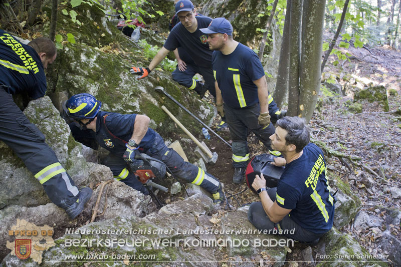 20240907_Spotty nach über 50 Stunden durch Feuerwehr aus Felshöhle in Baden gerettet Foto: Stefan Schneider BFKDO BADEN