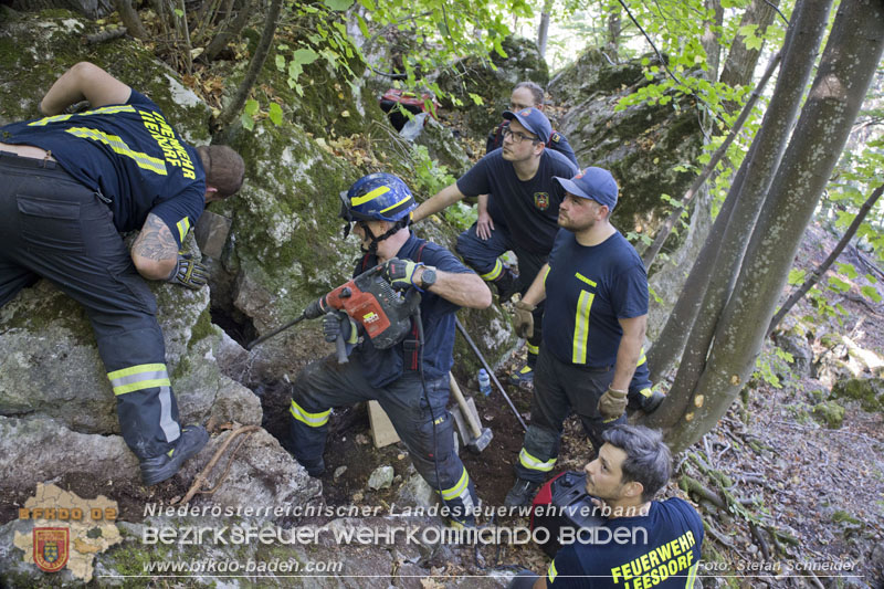 20240907_Spotty nach über 50 Stunden durch Feuerwehr aus Felshöhle in Baden gerettet Foto: Stefan Schneider BFKDO BADEN
