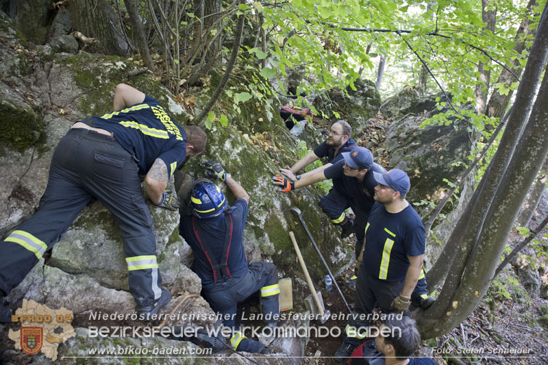 20240907_Spotty nach über 50 Stunden durch Feuerwehr aus Felshöhle in Baden gerettet Foto: Stefan Schneider BFKDO BADEN