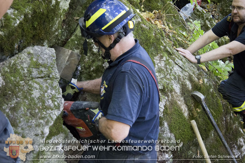 20240907_Spotty nach über 50 Stunden durch Feuerwehr aus Felshöhle in Baden gerettet Foto: Stefan Schneider BFKDO BADEN