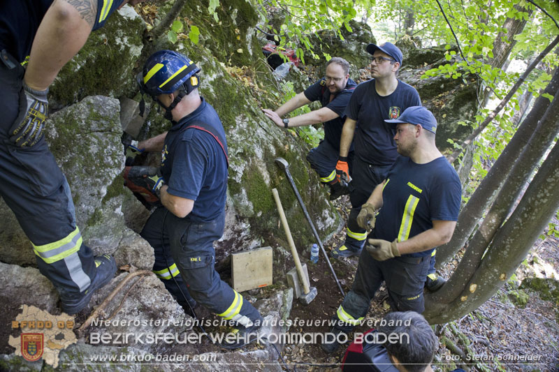 20240907_Spotty nach über 50 Stunden durch Feuerwehr aus Felshöhle in Baden gerettet Foto: Stefan Schneider BFKDO BADEN