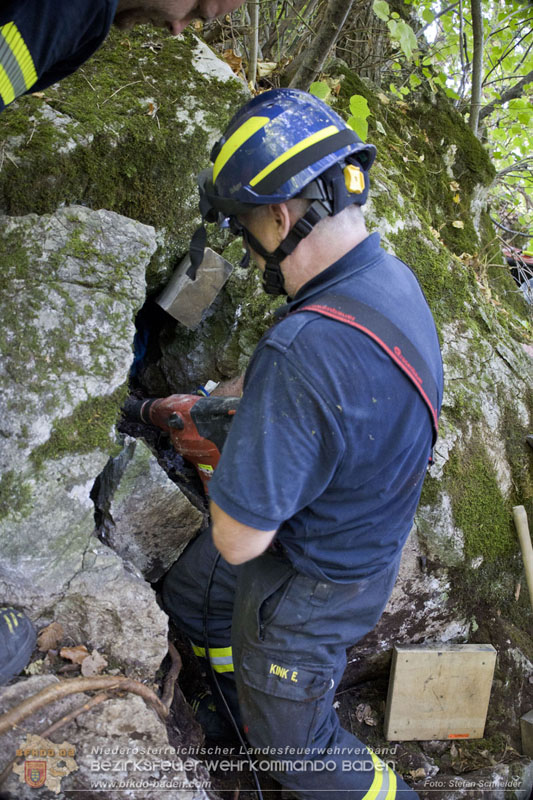 20240907_Spotty nach über 50 Stunden durch Feuerwehr aus Felshöhle in Baden gerettet Foto: Stefan Schneider BFKDO BADEN