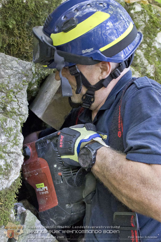 20240907_Spotty nach über 50 Stunden durch Feuerwehr aus Felshöhle in Baden gerettet Foto: Stefan Schneider BFKDO BADEN