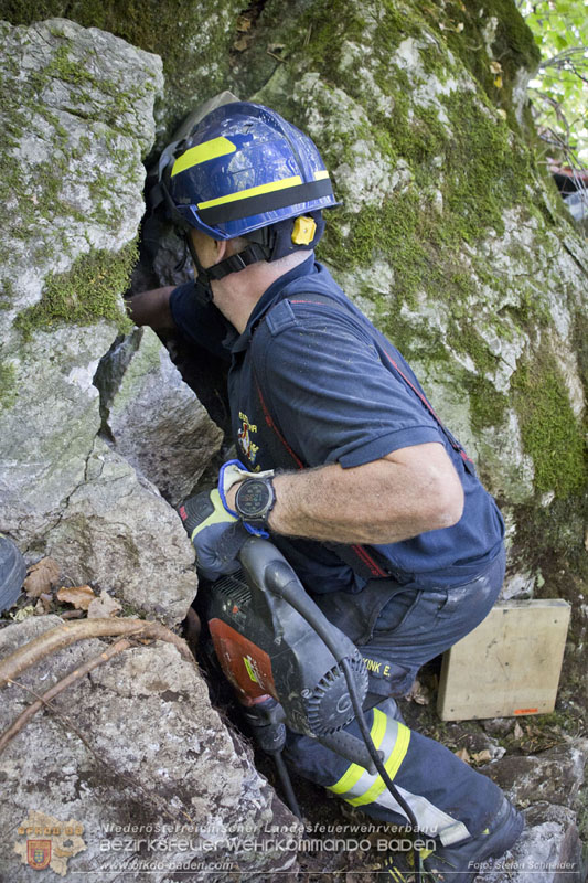 20240907_Spotty nach über 50 Stunden durch Feuerwehr aus Felshöhle in Baden gerettet Foto: Stefan Schneider BFKDO BADEN