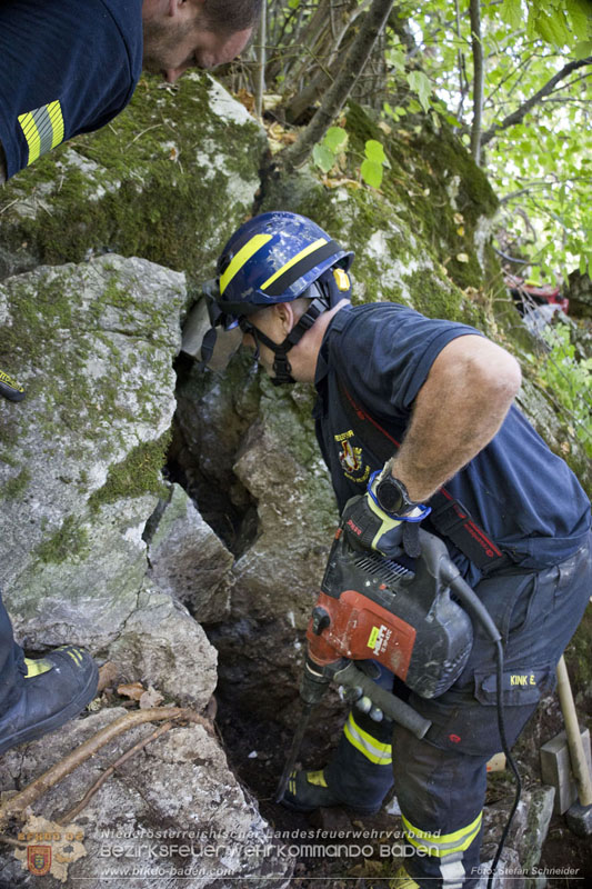 20240907_Spotty nach über 50 Stunden durch Feuerwehr aus Felshöhle in Baden gerettet Foto: Stefan Schneider BFKDO BADEN