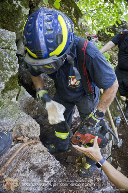 20240907_Spotty nach über 50 Stunden durch Feuerwehr aus Felshöhle in Baden gerettet Foto: Stefan Schneider BFKDO BADEN