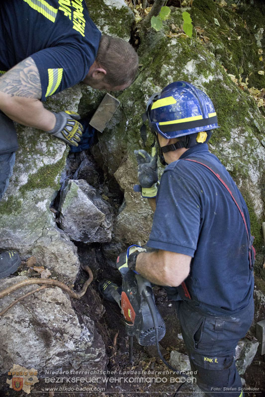 20240907_Spotty nach über 50 Stunden durch Feuerwehr aus Felshöhle in Baden gerettet Foto: Stefan Schneider BFKDO BADEN
