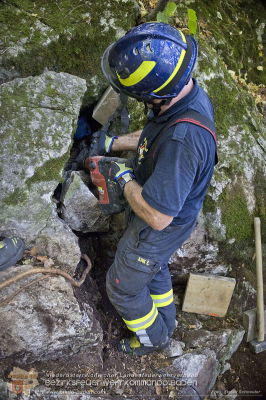 20240907_Spotty nach über 50 Stunden durch Feuerwehr aus Felshöhle in Baden gerettet Foto: Stefan Schneider BFKDO BADEN