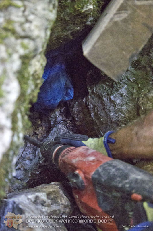 20240907_Spotty nach über 50 Stunden durch Feuerwehr aus Felshöhle in Baden gerettet Foto: Stefan Schneider BFKDO BADEN