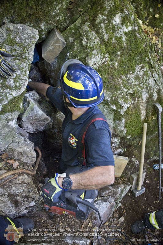 20240907_Spotty nach über 50 Stunden durch Feuerwehr aus Felshöhle in Baden gerettet Foto: Stefan Schneider BFKDO BADEN