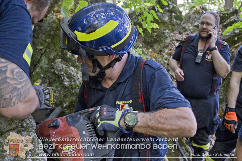20240907_Spotty nach über 50 Stunden durch Feuerwehr aus Felshöhle in Baden gerettet Foto: Stefan Schneider BFKDO BADEN