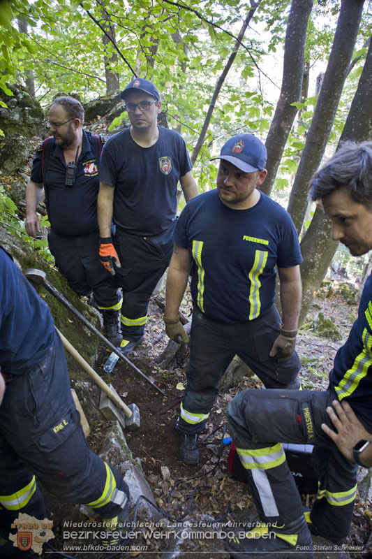20240907_Spotty nach über 50 Stunden durch Feuerwehr aus Felshöhle in Baden gerettet Foto: Stefan Schneider BFKDO BADEN