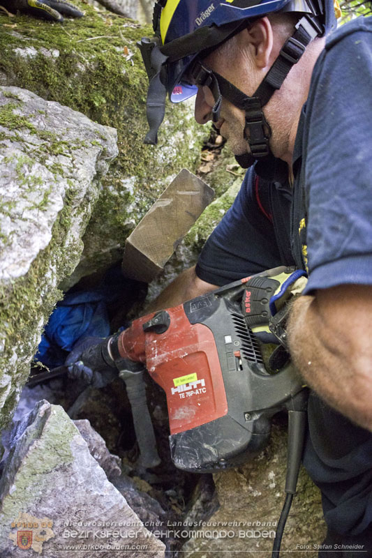 20240907_Spotty nach über 50 Stunden durch Feuerwehr aus Felshöhle in Baden gerettet Foto: Stefan Schneider BFKDO BADEN