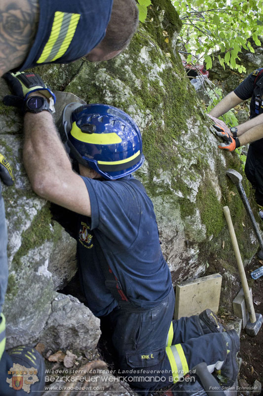 20240907_Spotty nach über 50 Stunden durch Feuerwehr aus Felshöhle in Baden gerettet Foto: Stefan Schneider BFKDO BADEN