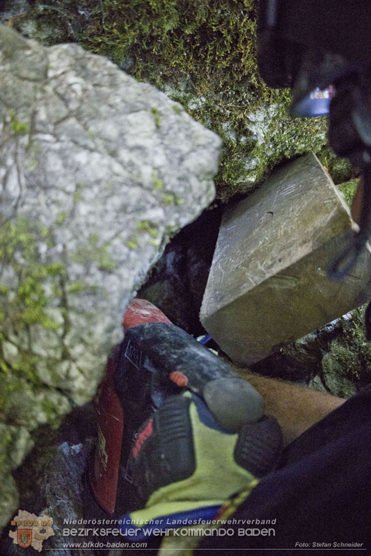 20240907_Spotty nach über 50 Stunden durch Feuerwehr aus Felshöhle in Baden gerettet Foto: Stefan Schneider BFKDO BADEN