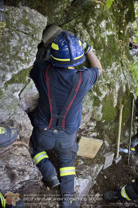 20240907_Spotty nach über 50 Stunden durch Feuerwehr aus Felshöhle in Baden gerettet Foto: Stefan Schneider BFKDO BADEN