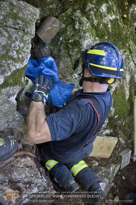 20240907_Spotty nach über 50 Stunden durch Feuerwehr aus Felshöhle in Baden gerettet Foto: Stefan Schneider BFKDO BADEN