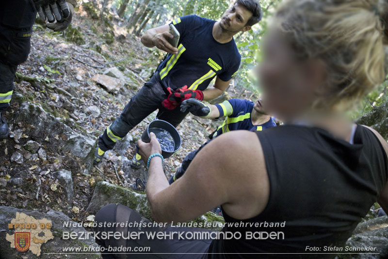 20240907_Spotty nach über 50 Stunden durch Feuerwehr aus Felshöhle in Baden gerettet Foto: Stefan Schneider BFKDO BADEN
