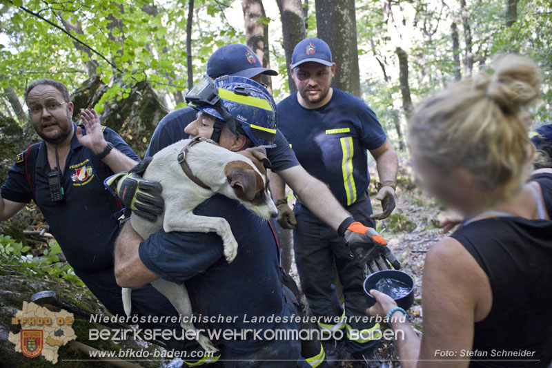 20240907_Spotty nach über 50 Stunden durch Feuerwehr aus Felshöhle in Baden gerettet Foto: Stefan Schneider BFKDO BADEN