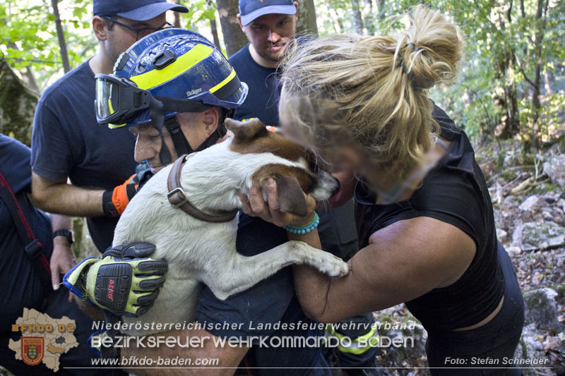 20240907_Spotty nach über 50 Stunden durch Feuerwehr aus Felshöhle in Baden gerettet Foto: Stefan Schneider BFKDO BADEN