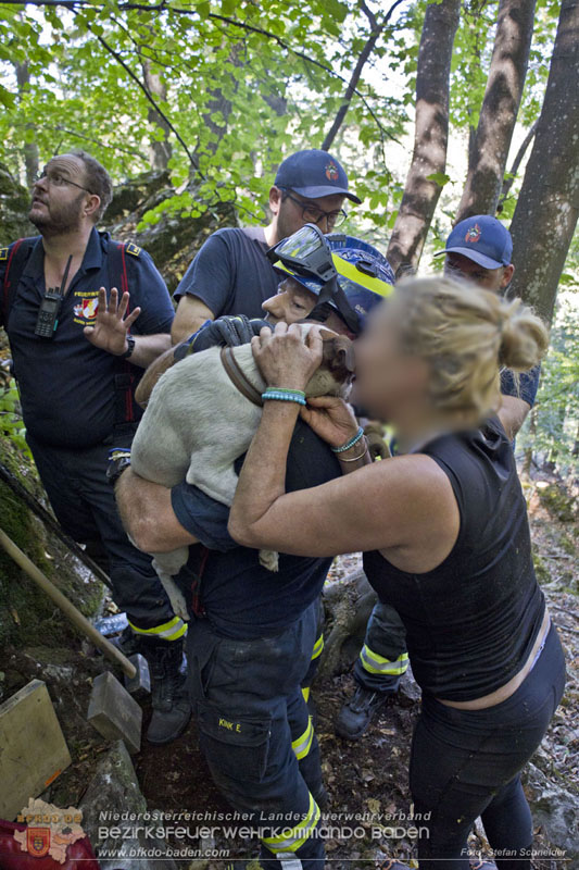 20240907_Spotty nach über 50 Stunden durch Feuerwehr aus Felshöhle in Baden gerettet Foto: Stefan Schneider BFKDO BADEN