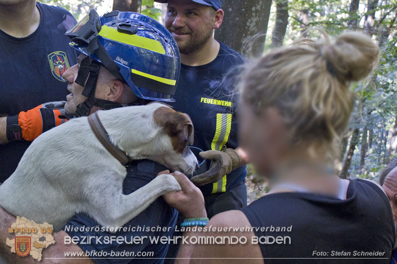 20240907_Spotty nach über 50 Stunden durch Feuerwehr aus Felshöhle in Baden gerettet Foto: Stefan Schneider BFKDO BADEN