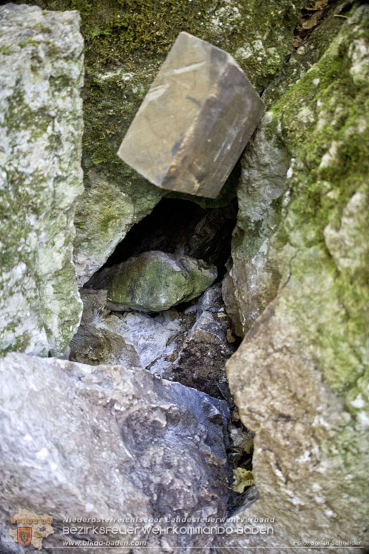 20240907_Spotty nach über 50 Stunden durch Feuerwehr aus Felshöhle in Baden gerettet Foto: Stefan Schneider BFKDO BADEN