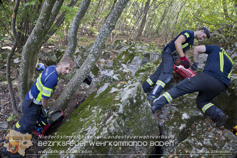 20240907_Spotty nach über 50 Stunden durch Feuerwehr aus Felshöhle in Baden gerettet Foto: Stefan Schneider BFKDO BADEN