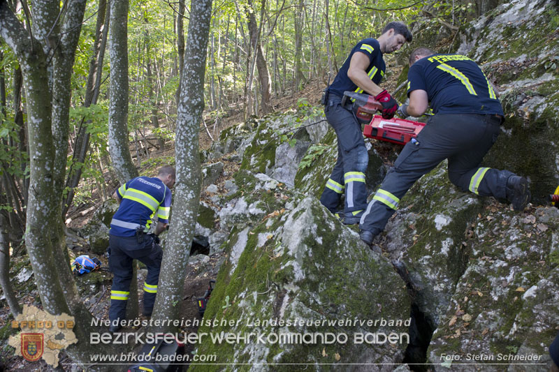 20240907_Spotty nach über 50 Stunden durch Feuerwehr aus Felshöhle in Baden gerettet Foto: Stefan Schneider BFKDO BADEN