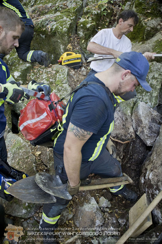 20240907_Spotty nach über 50 Stunden durch Feuerwehr aus Felshöhle in Baden gerettet Foto: Stefan Schneider BFKDO BADEN