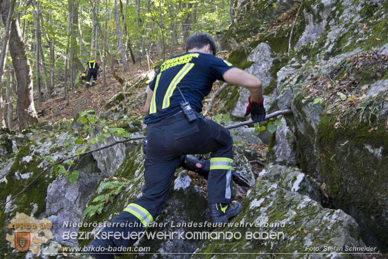 20240907_Spotty nach über 50 Stunden durch Feuerwehr aus Felshöhle in Baden gerettet Foto: Stefan Schneider BFKDO BADEN
