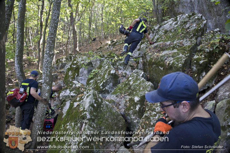 20240907_Spotty nach über 50 Stunden durch Feuerwehr aus Felshöhle in Baden gerettet Foto: Stefan Schneider BFKDO BADEN