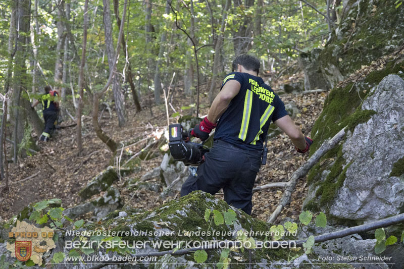 20240907_Spotty nach über 50 Stunden durch Feuerwehr aus Felshöhle in Baden gerettet Foto: Stefan Schneider BFKDO BADEN