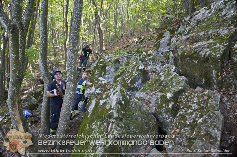 20240907_Spotty nach über 50 Stunden durch Feuerwehr aus Felshöhle in Baden gerettet Foto: Stefan Schneider BFKDO BADEN