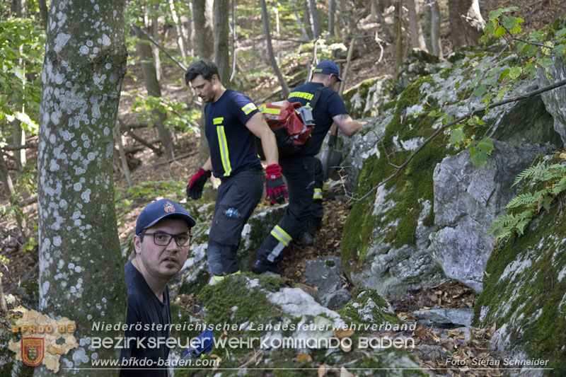 20240907_Spotty nach über 50 Stunden durch Feuerwehr aus Felshöhle in Baden gerettet Foto: Stefan Schneider BFKDO BADEN