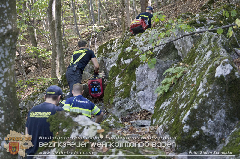 20240907_Spotty nach über 50 Stunden durch Feuerwehr aus Felshöhle in Baden gerettet Foto: Stefan Schneider BFKDO BADEN